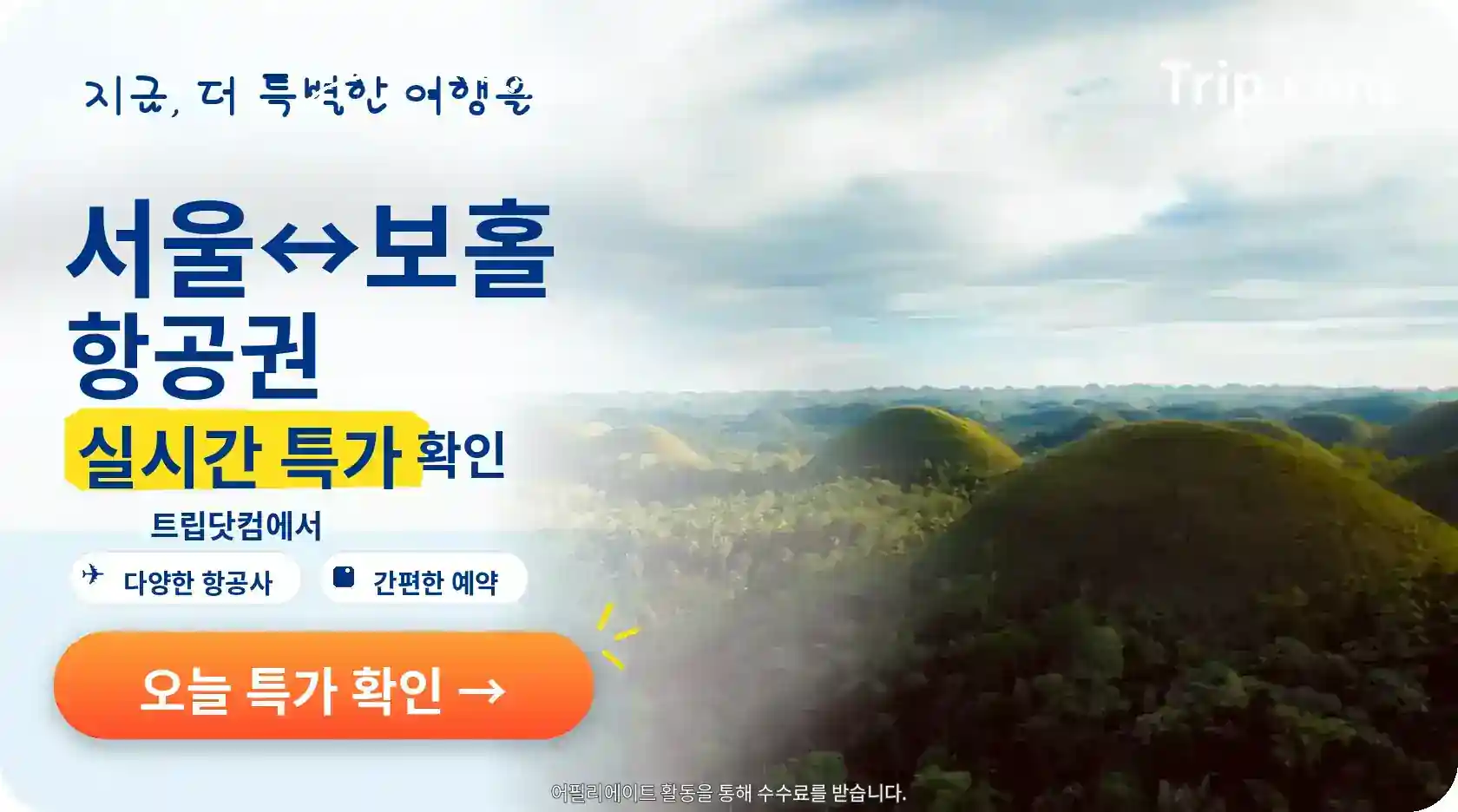 서울에서 보홀 항공권 실시간 특가 확인