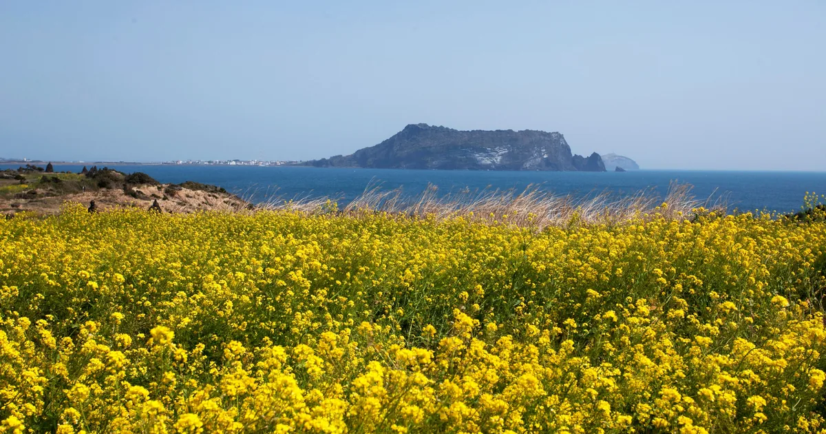 Jeju travel scenery