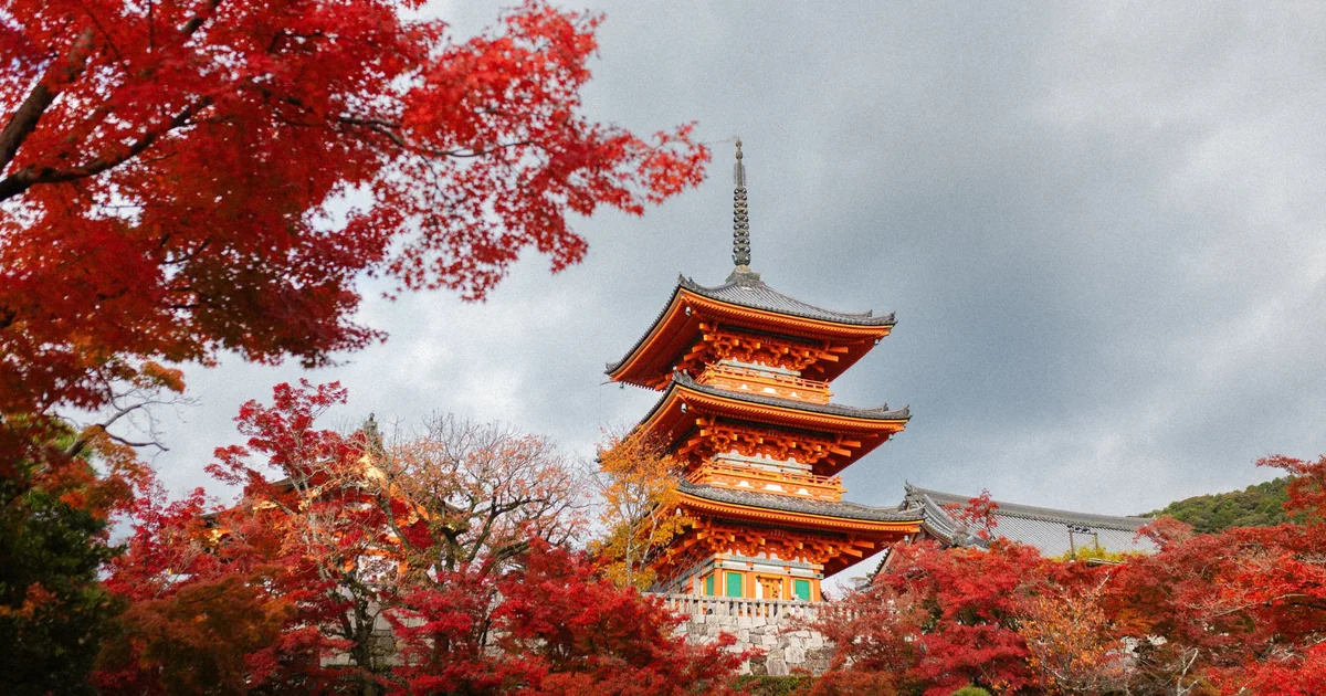 Kyoto travel representative landscape